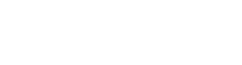 depwisen logo white